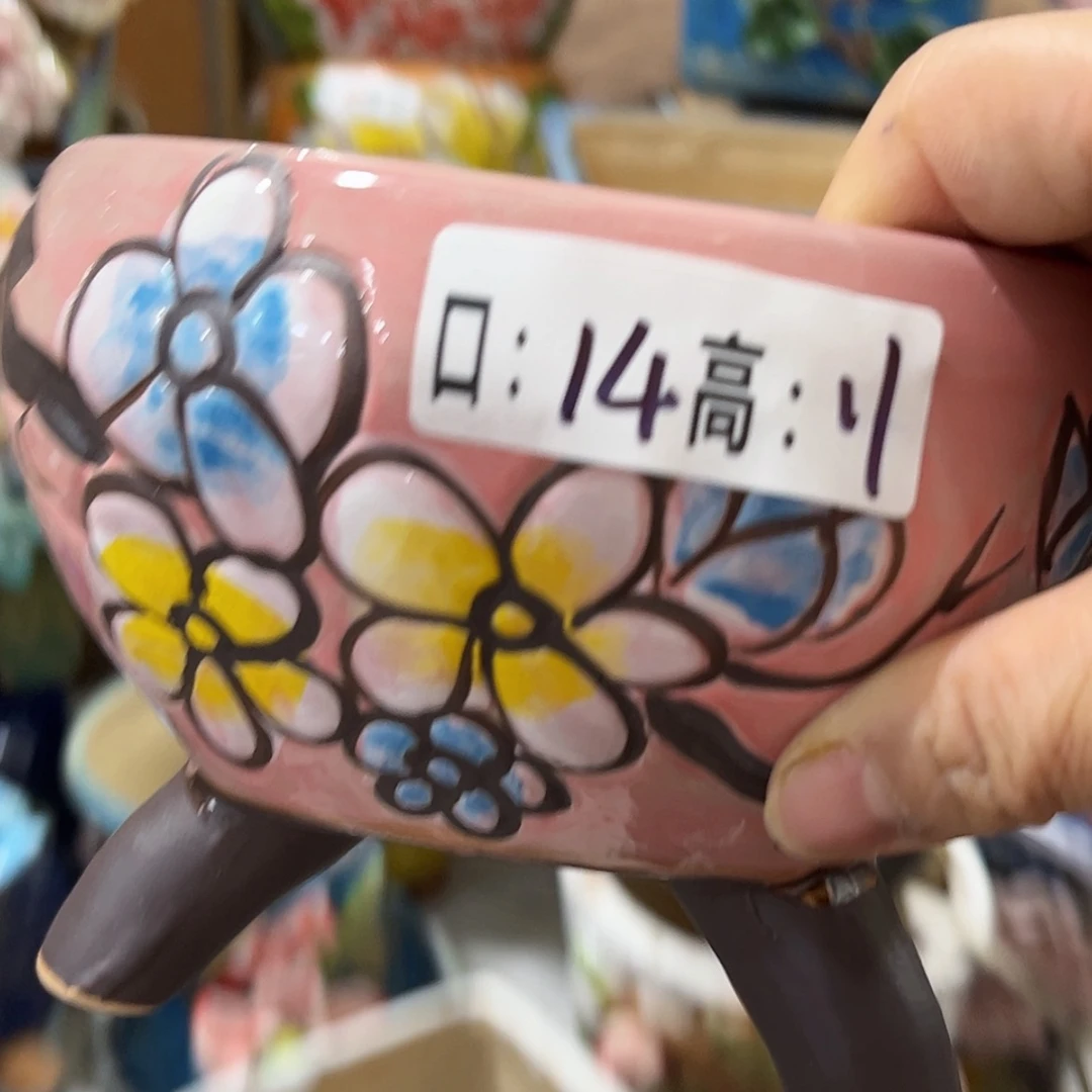 【闪购商品】红陶福利