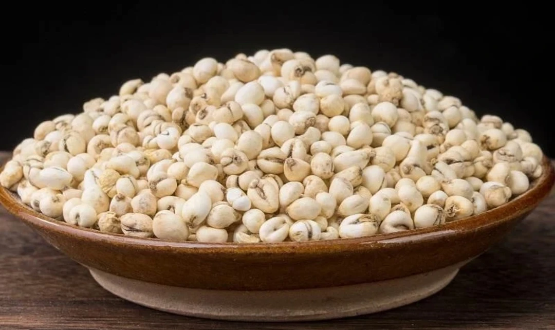 云南农家山货  川贝母 粮油米面1号