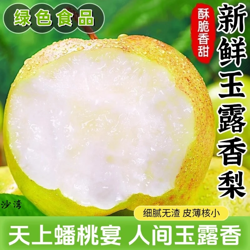 正宗山西玉露香梨子新鲜水果脆甜多汁源头直发整箱包邮