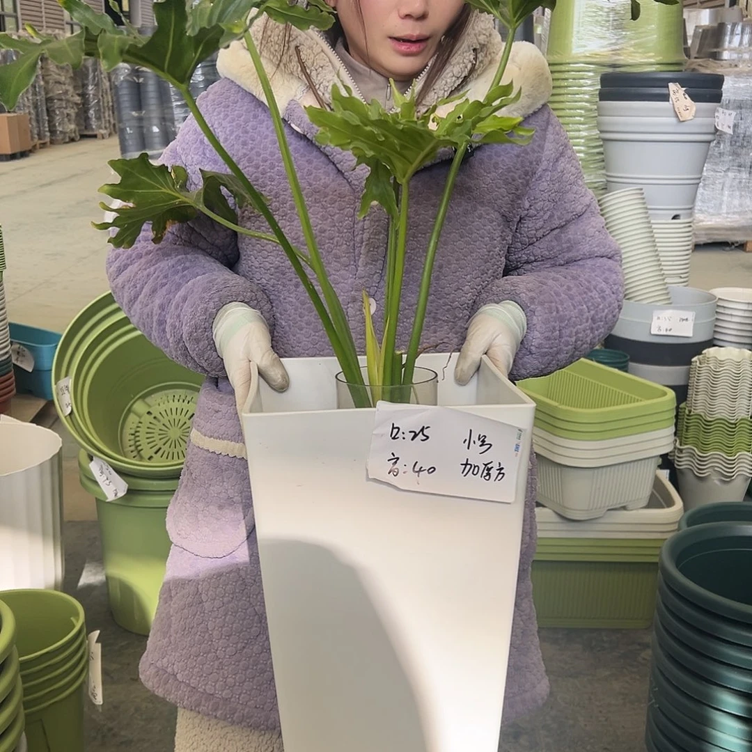 瑕疵方盆小号白色2个无托