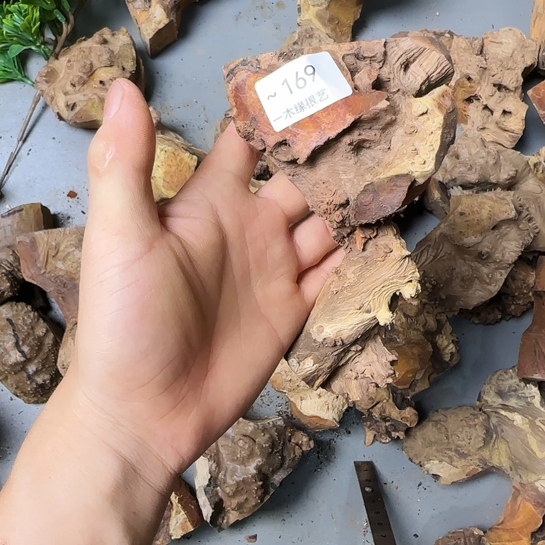 卖***柴000000000000000169