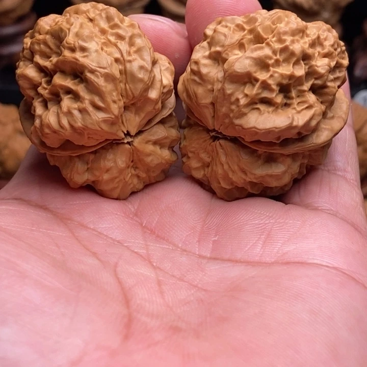 文玩核桃把件1上古蛤蟆王