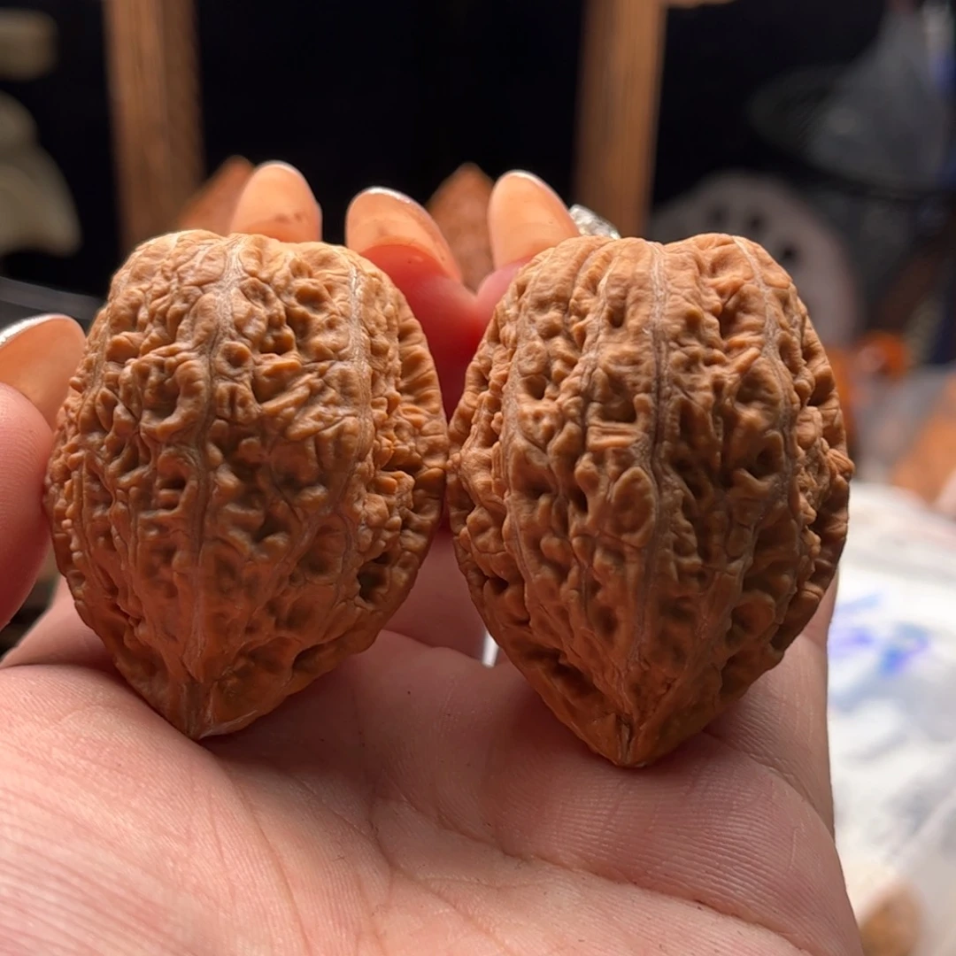 文玩核桃把件关东木子家楸大胖60