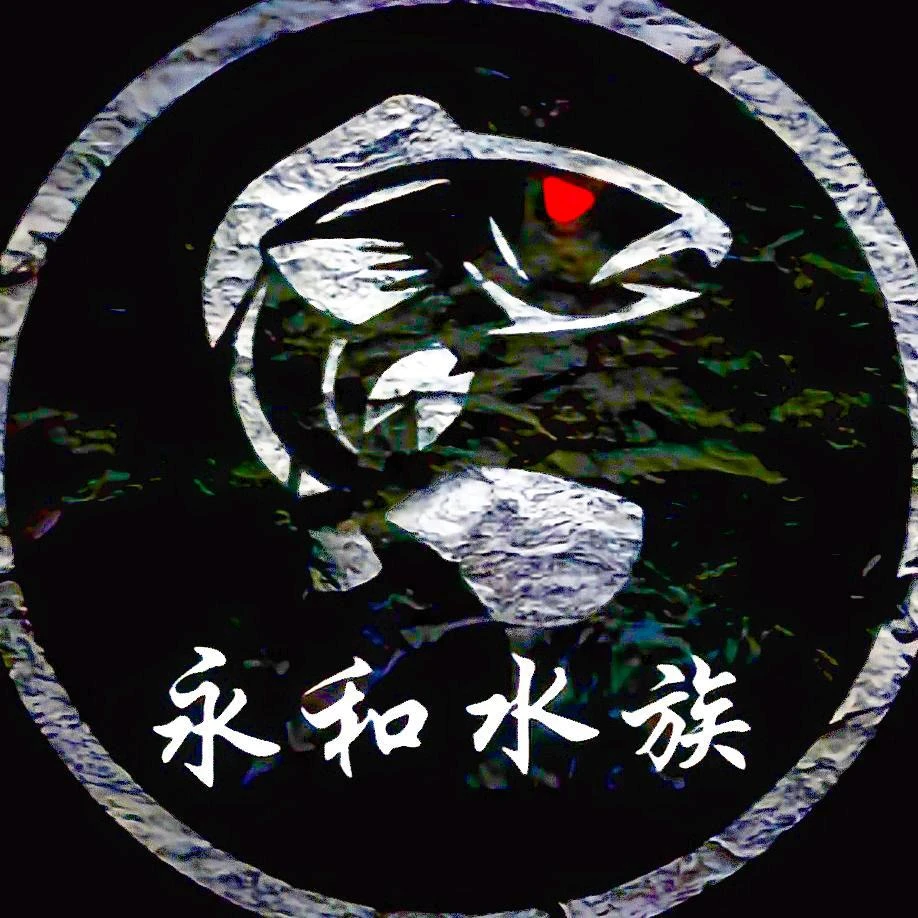 雷龙鱼直播间选鱼下单直接拍对应价格即可