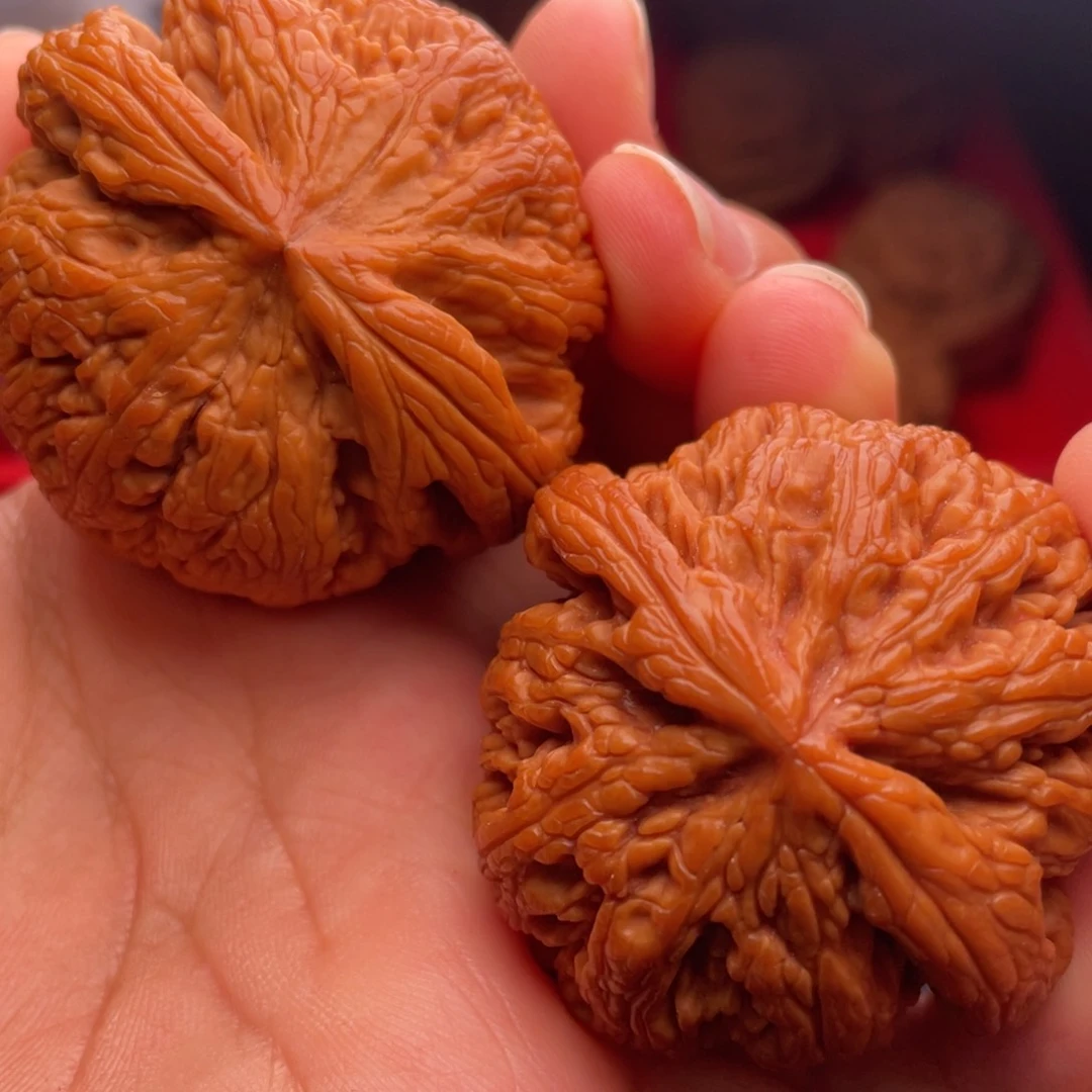 文玩核桃把件秦岭山脉