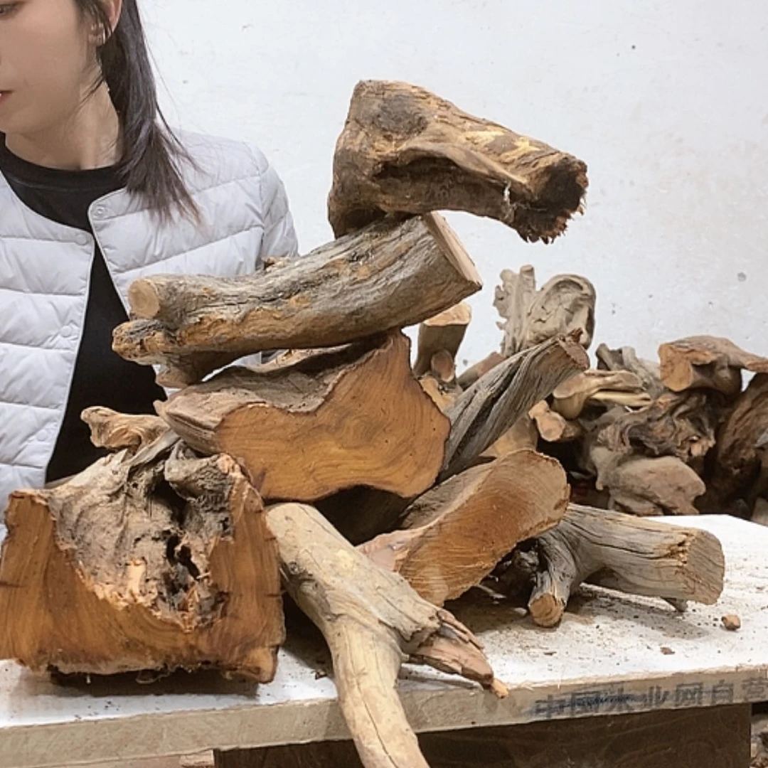 【闪购商品】柏木不**心我们都是好孩子