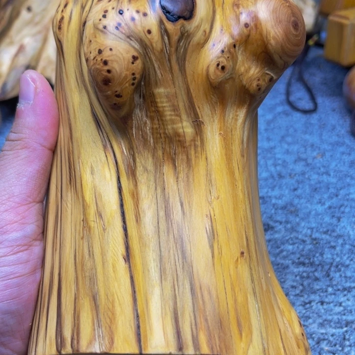 柏木（崖柏）崖柏08