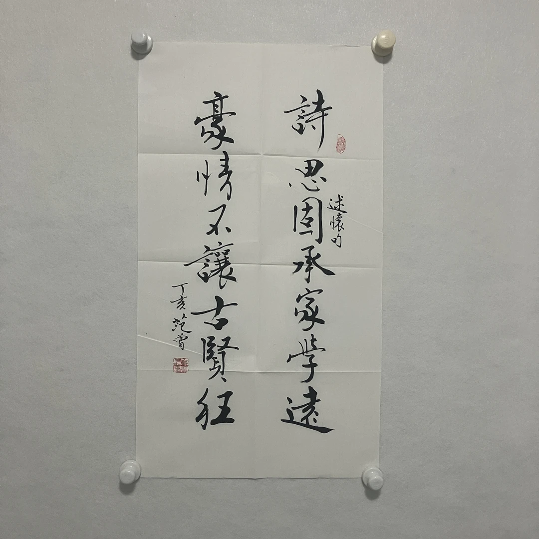 203 书法 纸本水墨画心 尺寸：39×68cm