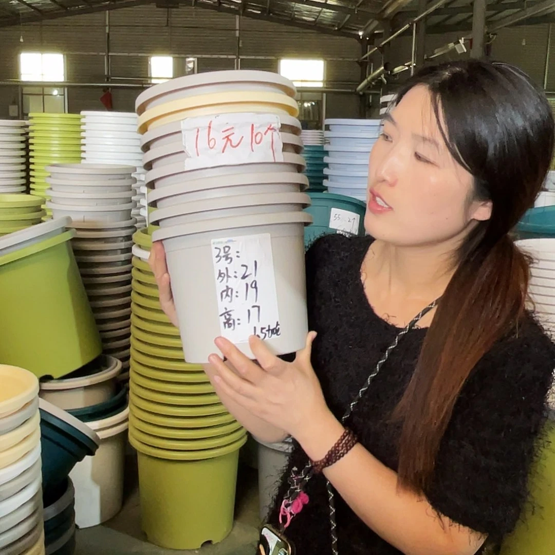 微瑕3#无拖灰白色10个