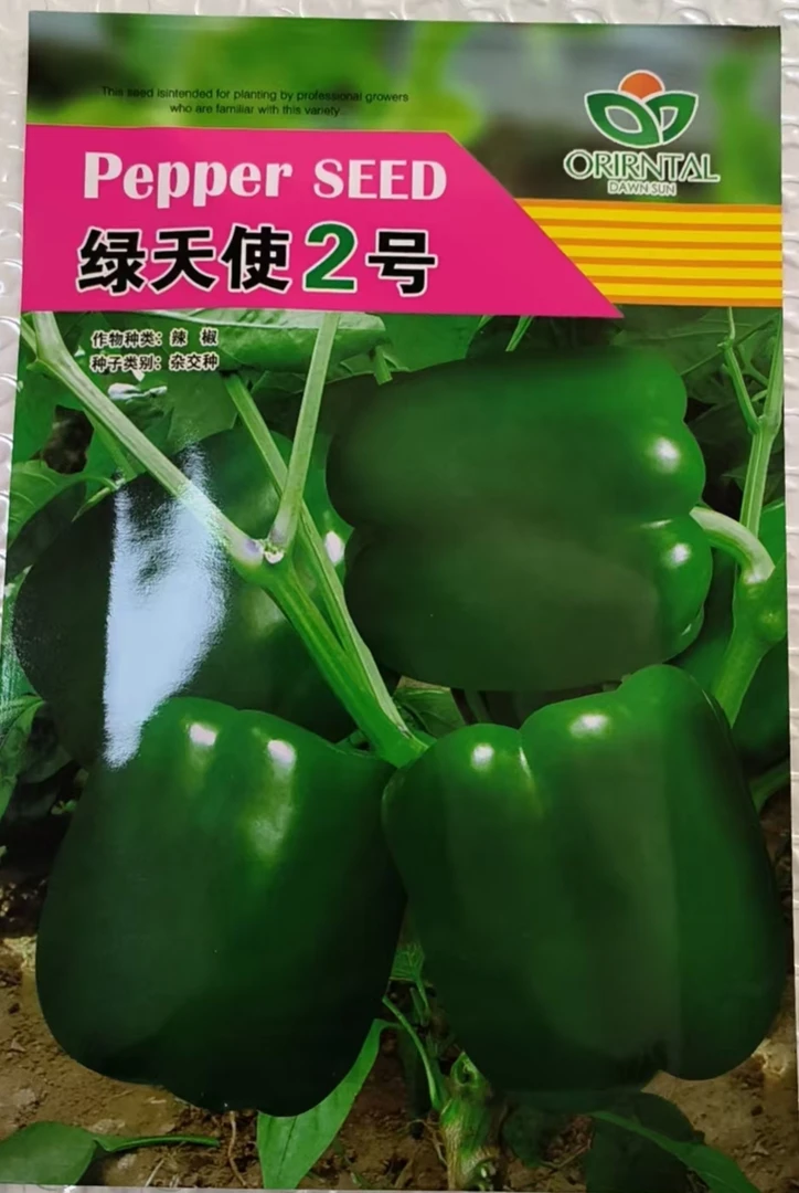 绿天使2号大辣椒种子