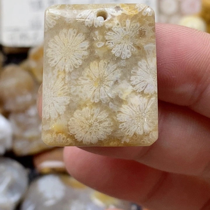 颈饰未镶嵌硅化珊瑚（珊瑚玉）小