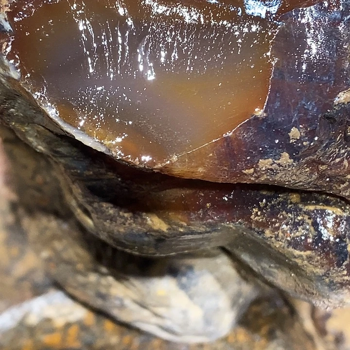 用***1定制玛瑙地哦小心翼翼