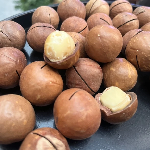 夏果   云南赶集农家珍藏坚果