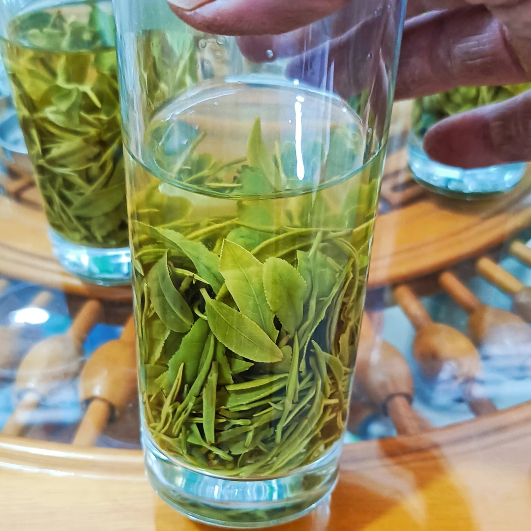 2025年新茶信阳毛尖茶叶高山生态绿茶雨前经济实惠口粮茶浓香耐泡
