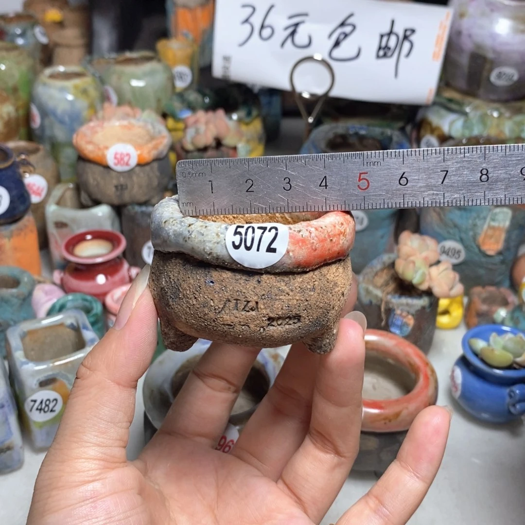 拍3送一个小礼物