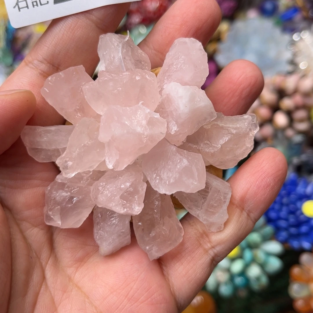 核桃木/黑胡桃（胡桃木）283