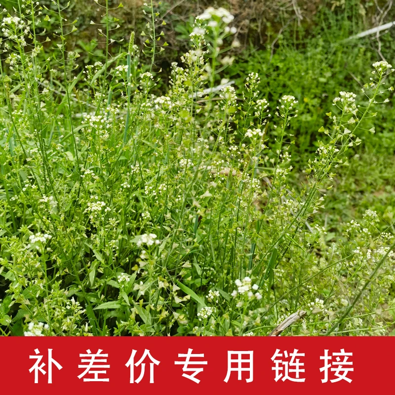 山货日迹补差价专用链接