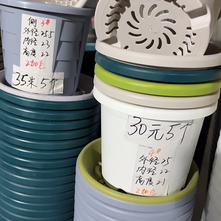 四季4#口径25无托灰白8个