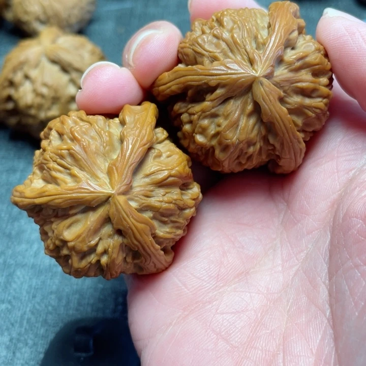 工艺三棱白狮子三棱