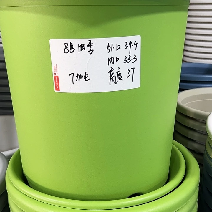 特价8号四季口38高37白色无托5个