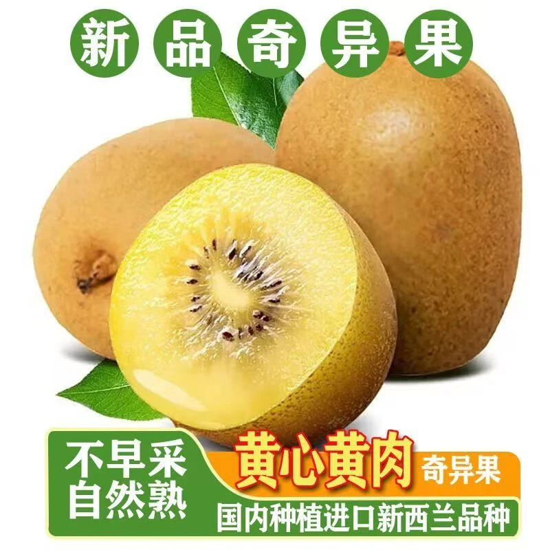 云南黄心猕猴桃奇异果新鲜水果当季现摘软糯香甜
