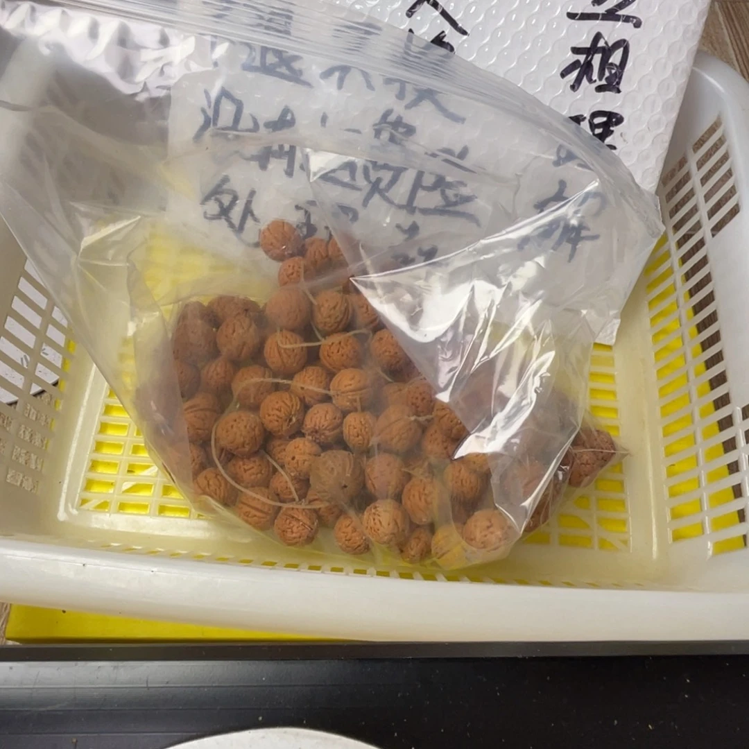 文玩核桃把件闪电购51