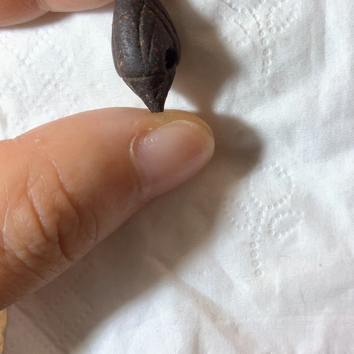 吊坠草珠菩提赵****行念珠小元素配饰吊坠