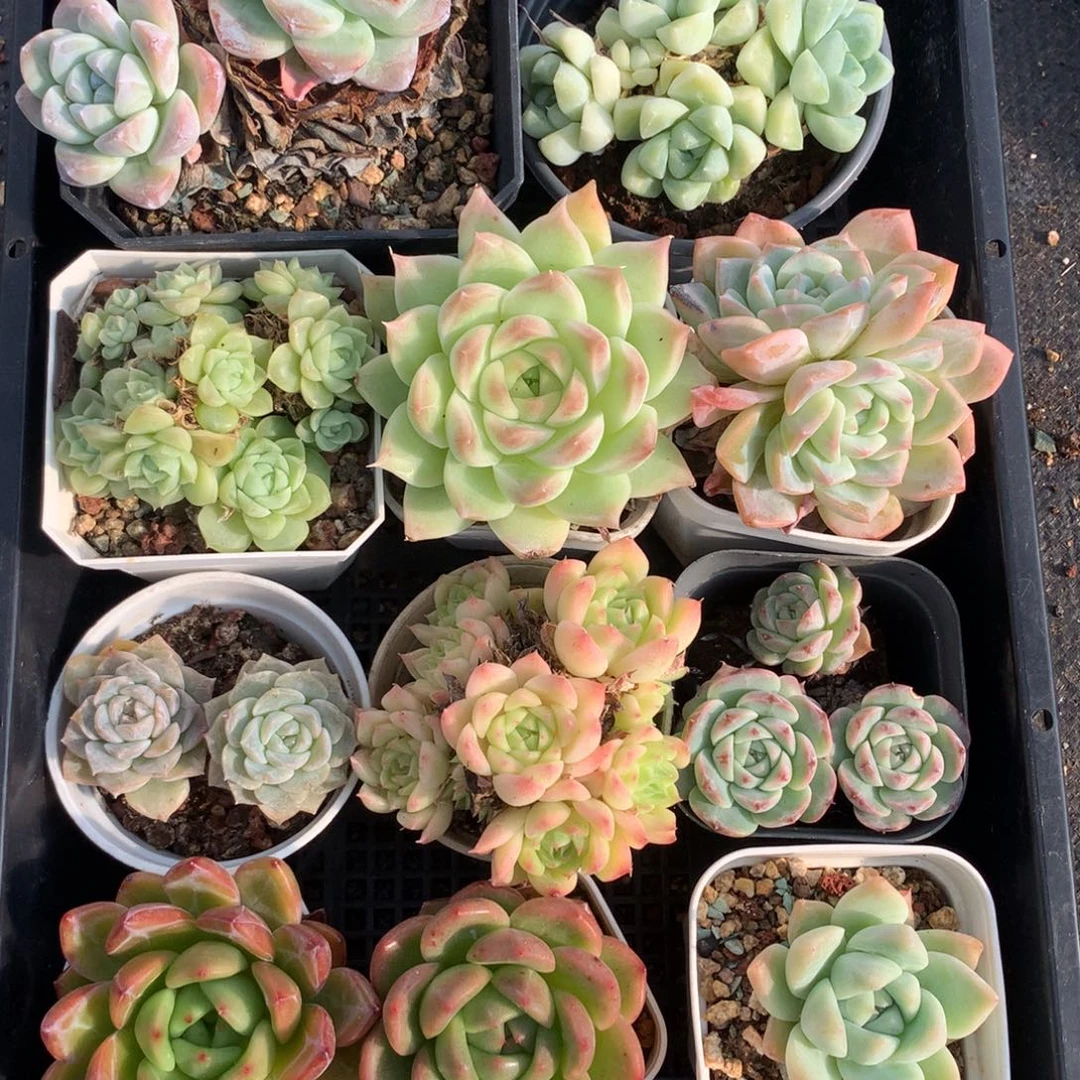 1022-16 套餐一组