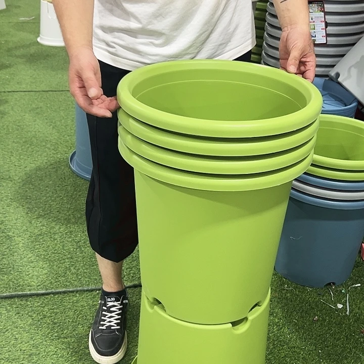 四季8号特价果绿色5个无托