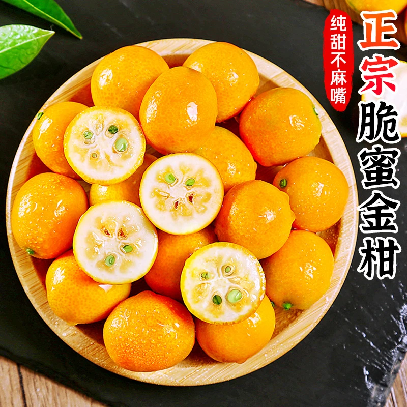 【脆甜多汁】正宗脆蜜金柑1-5斤小橘子滑皮金桔小桔子柑橘新鲜水果