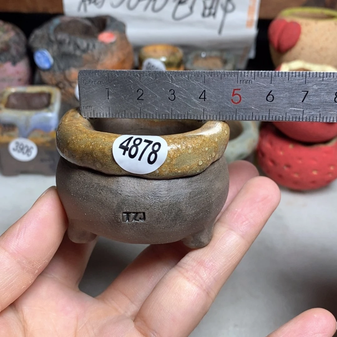 拍3送一个小礼物
