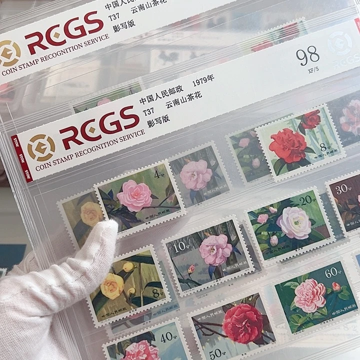 T37山茶花评级98邮票