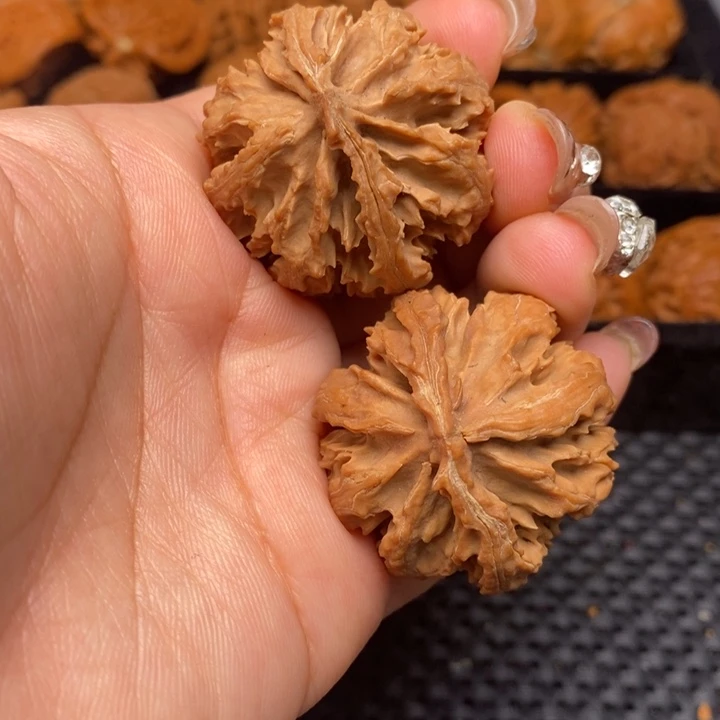 秦岭野生文玩核桃4