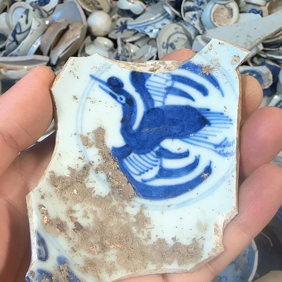 瓷片瓷片标本，顺丰包邮