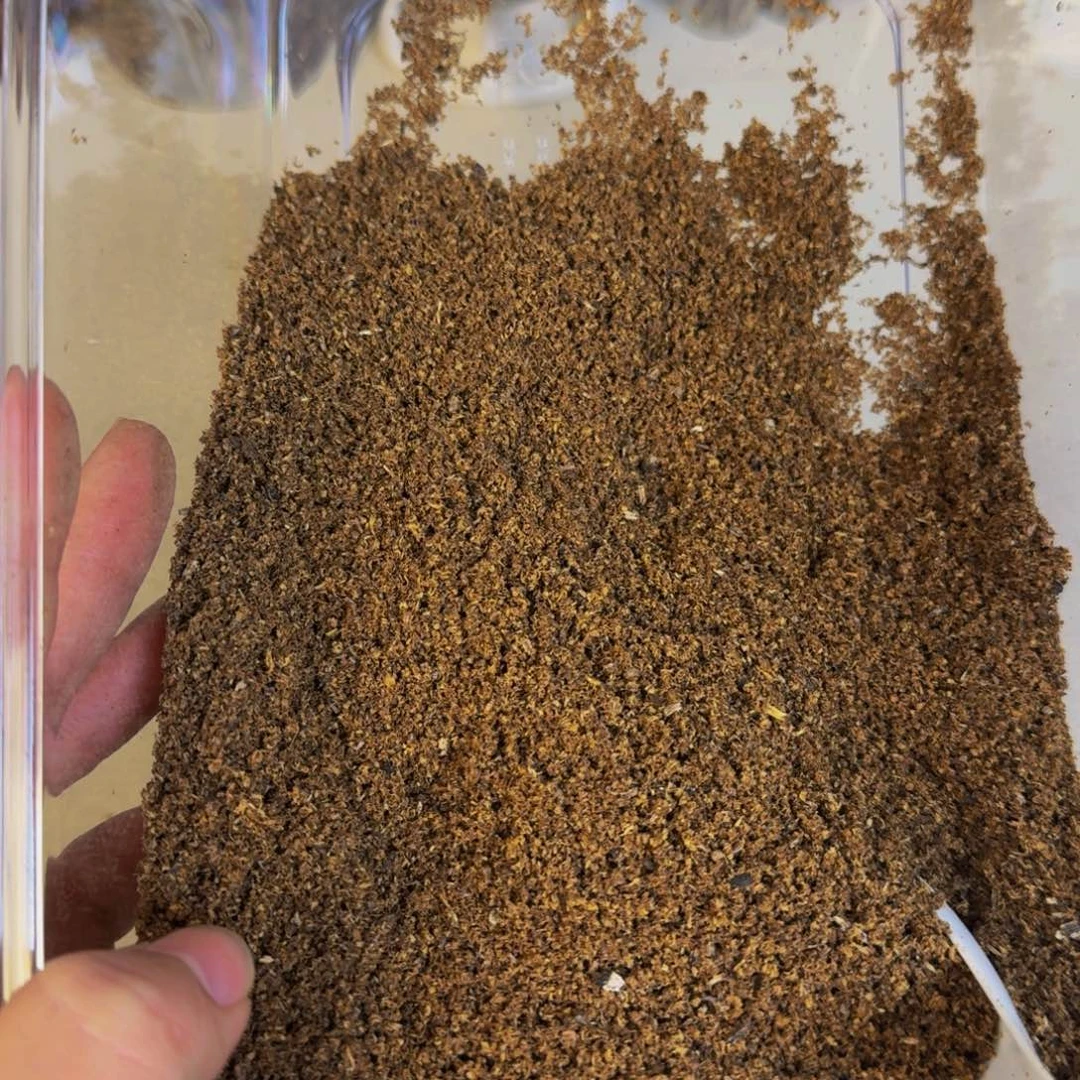 擎***猪沉香碎屑沉香高油钻珠香粉100克