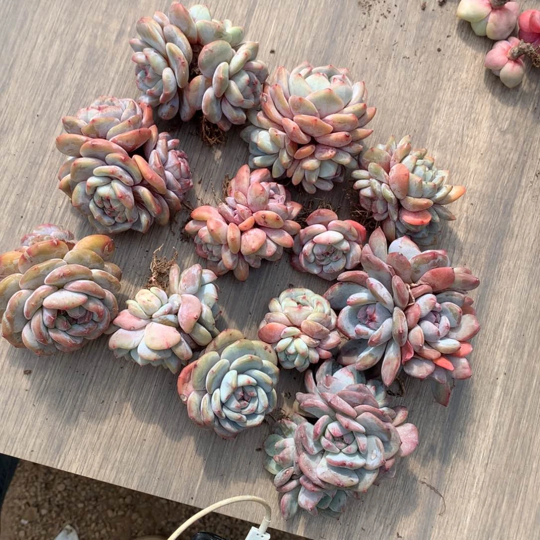 哈哈哈哈哈哈哈哈哈哈