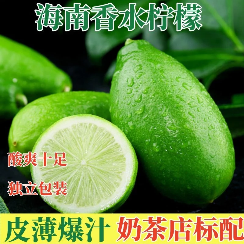 小虾点兵新鲜正宗无籽香水柠檬现摘现发清香奶茶店专用青柠檬泡水