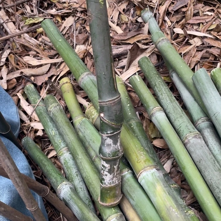 *****实心我一下我现在这样一直