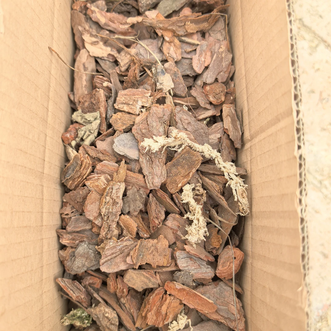 蝴蝶兰种植 植料松树皮2升