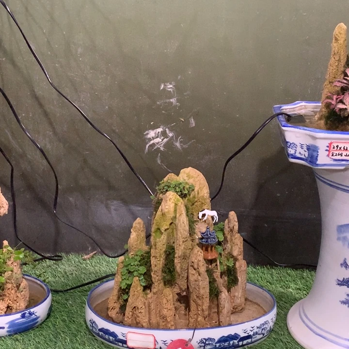 完全开放吸水石假山盆景