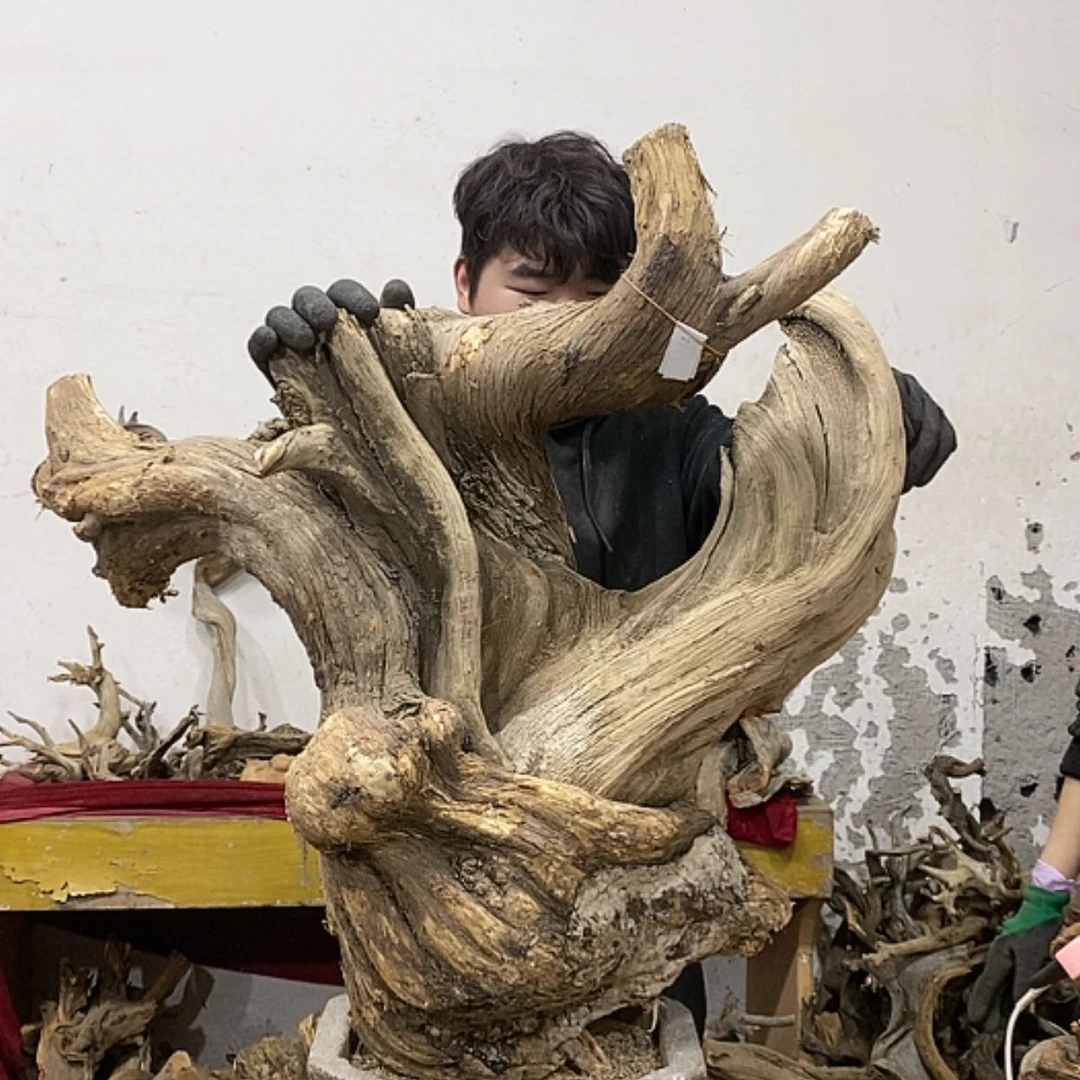 【闪购商品】柏木上****签我们都是好孩子