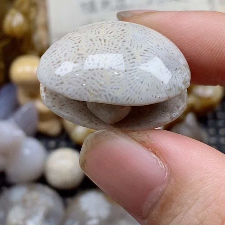 颈饰未镶嵌硅化珊瑚（珊瑚玉）小