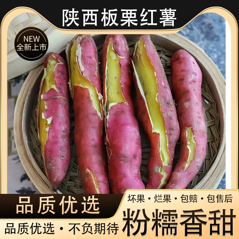 正宗陕西农家板栗红薯板栗红薯粉糯香甜干面代餐粗粮辅食番薯地瓜