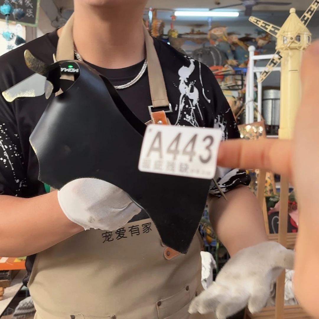 核桃木/黑胡桃（胡桃木）