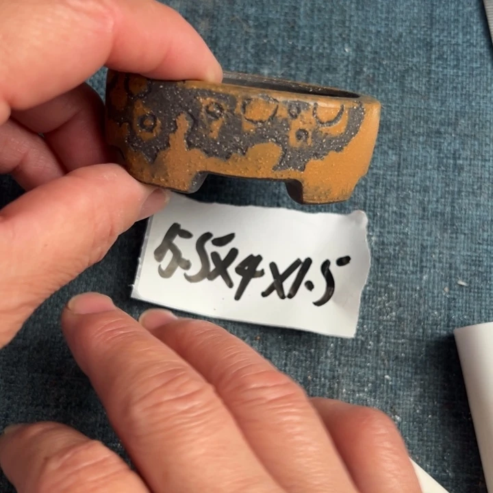 呜呜呜太好看太好看