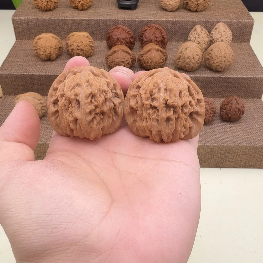 全品四座楼44/41/34