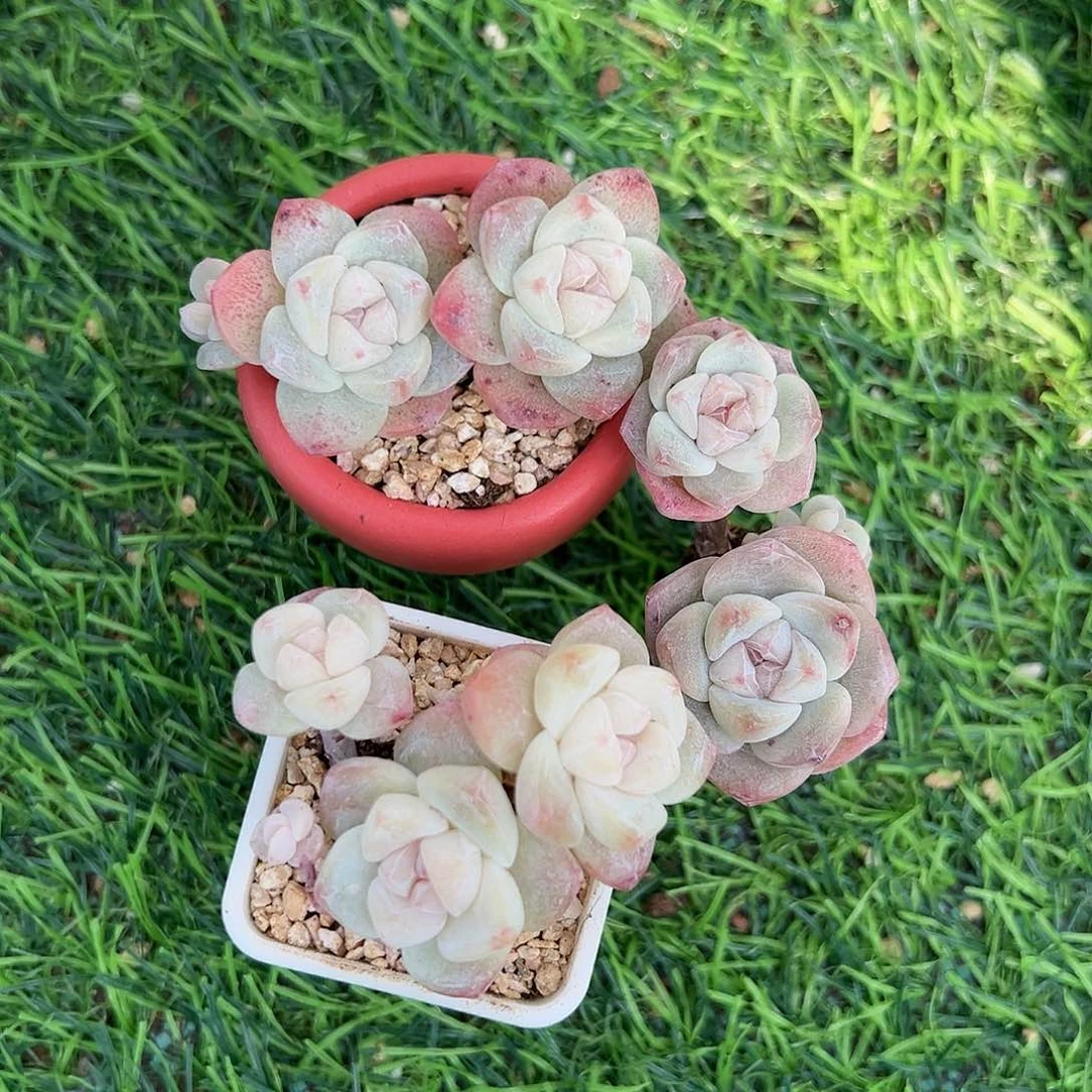 cjghvjvhvhbbhbbhhhhhg