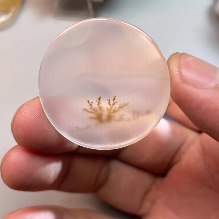 玛瑙/玉髓未镶嵌颈饰海*