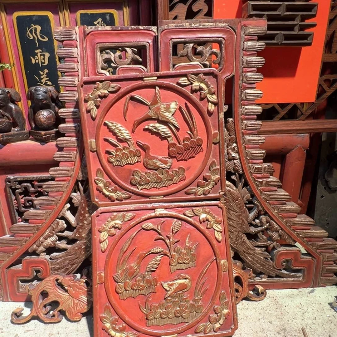 波***哥木看欧阳囧你就建军建军建军