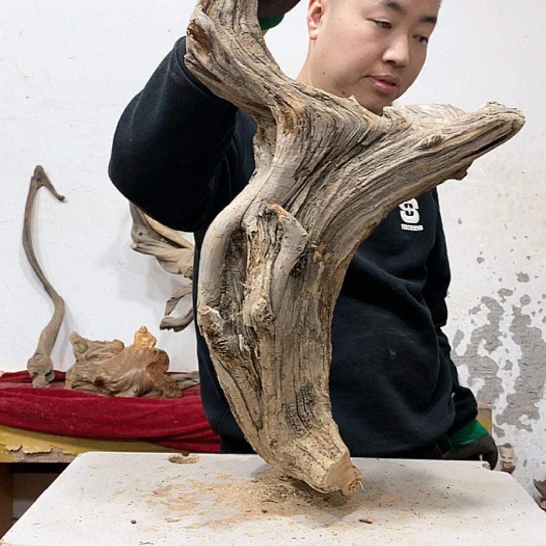 【闪购商品】柏木黑*蚁我们都是好孩子
